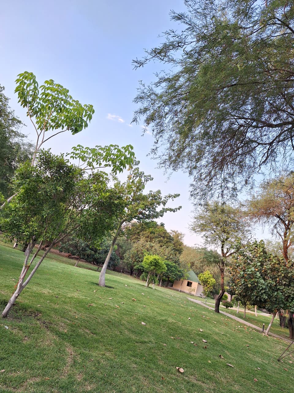 Zona de Camping — Isla Grande