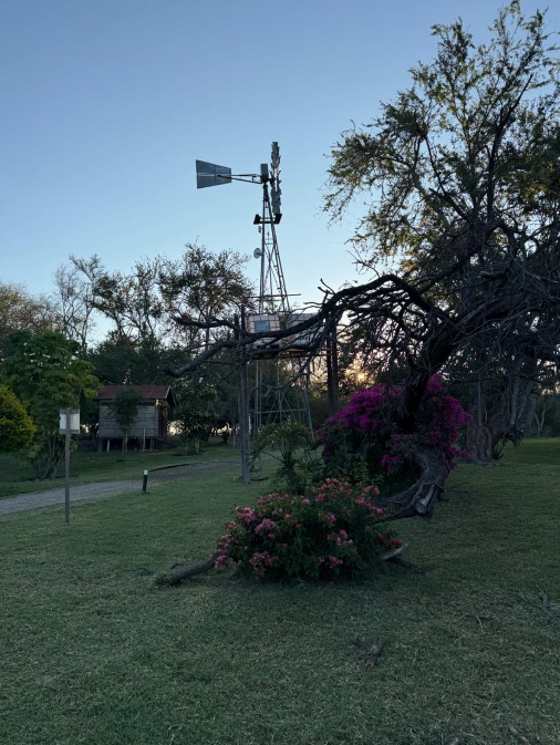 Flora Isla Grande