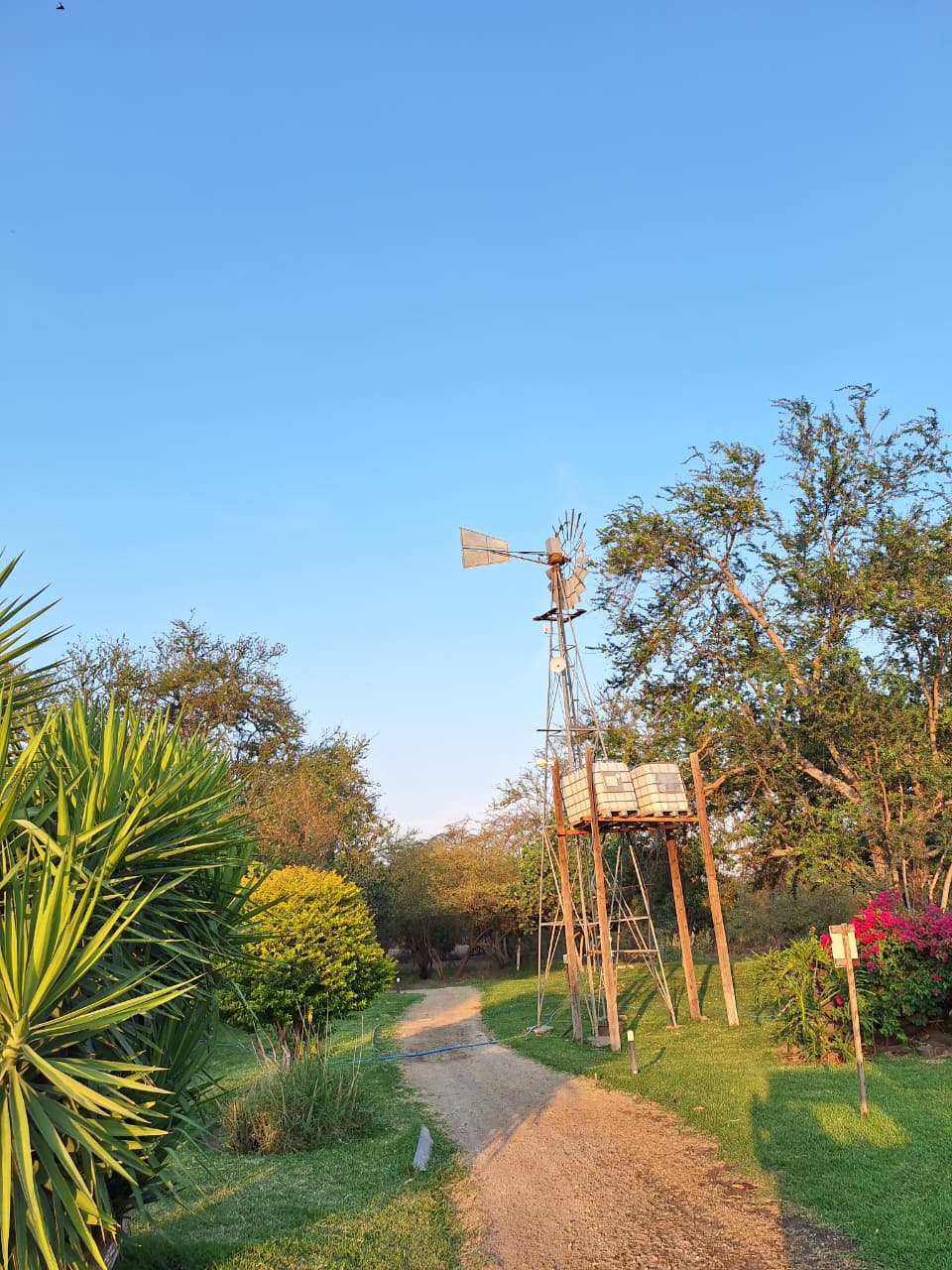 Flora Isla Grande