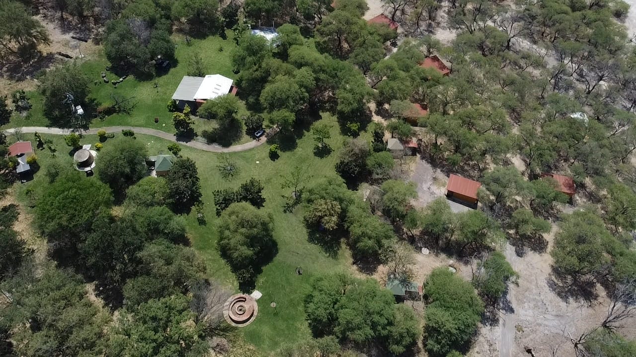Flora Isla Grande