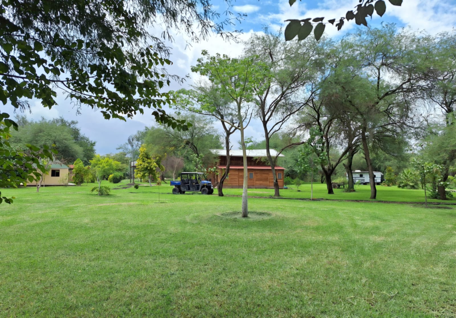 Flora Isla Grande